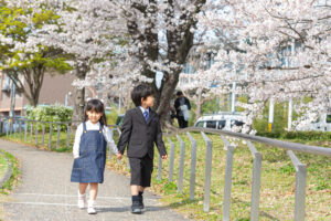 鴨川桜で入学、入園記念写真