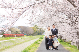 伊丹市の桜写真