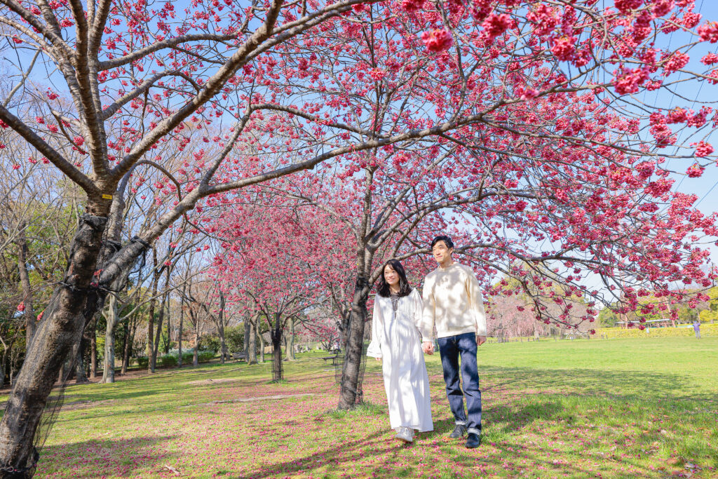 大仙公園の寒桜で記念写真